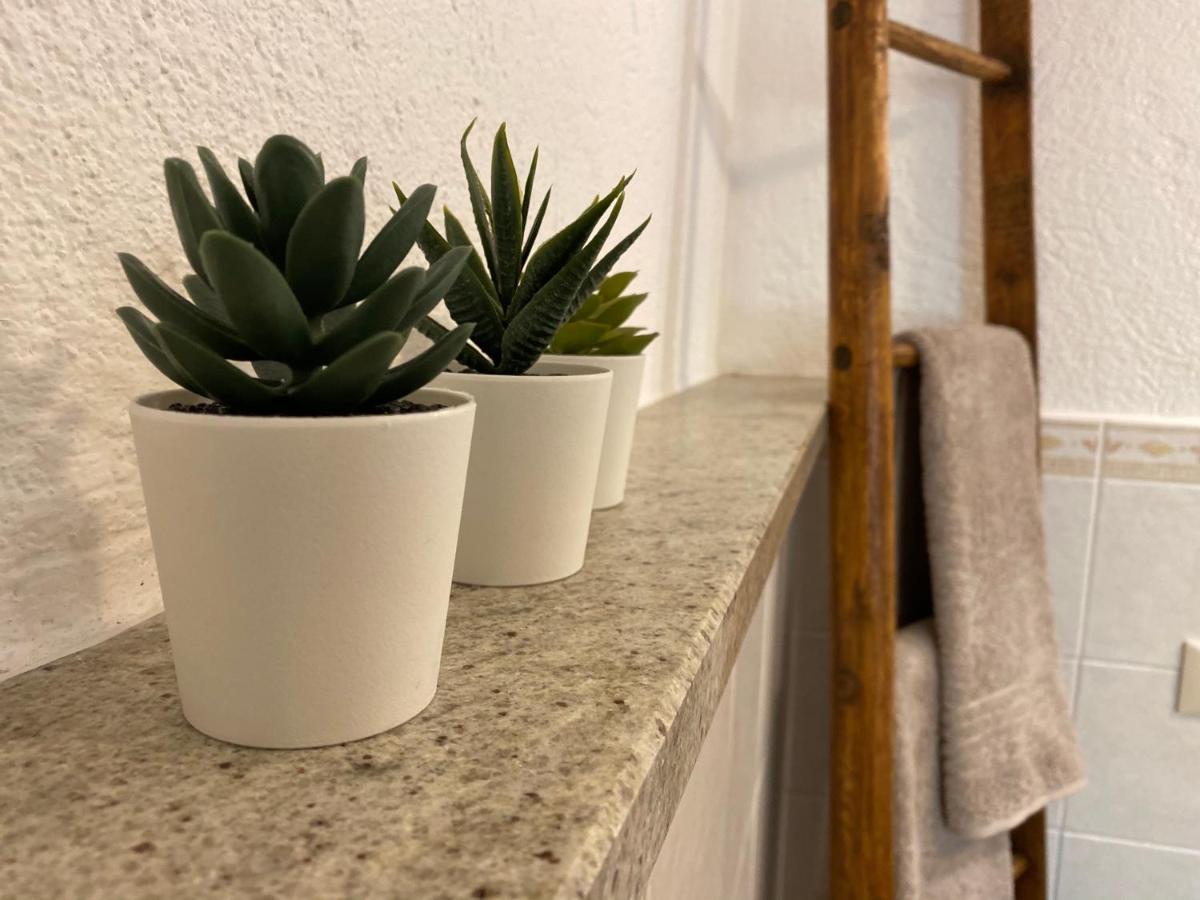 Apartament Grenier Du Coeur Aosta Zewnętrze zdjęcie