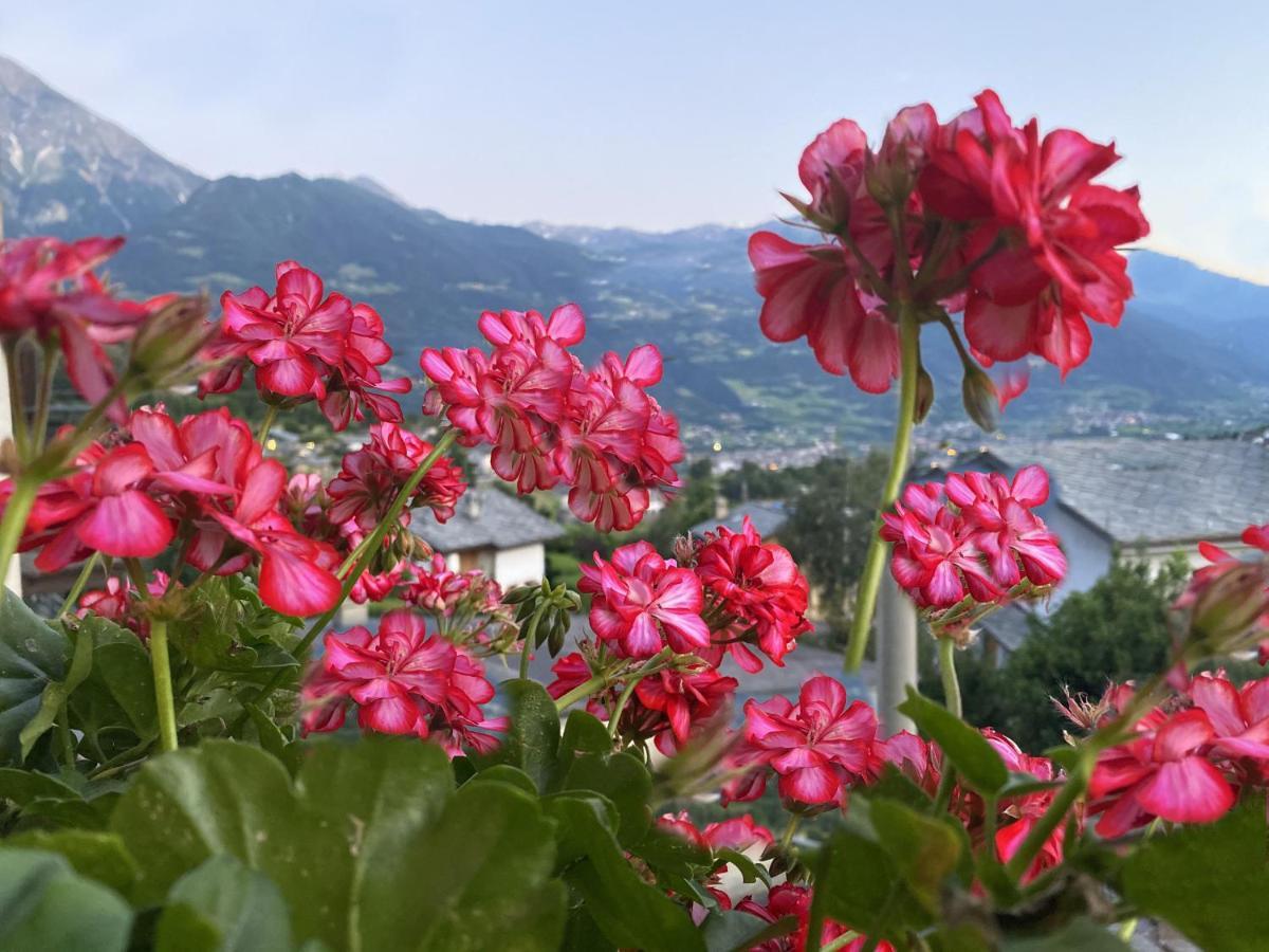 Apartament Grenier Du Coeur Aosta Zewnętrze zdjęcie